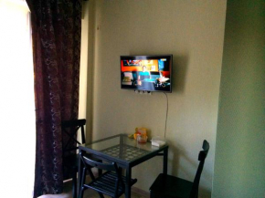Apartment in the city center